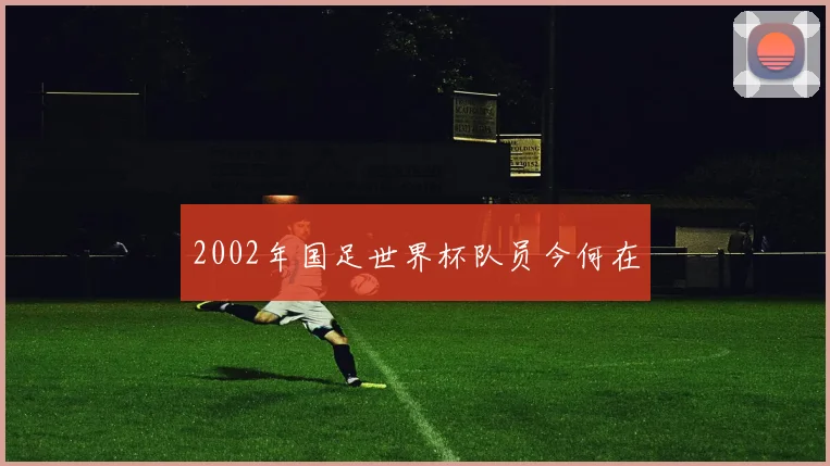 2002年国足世界杯队员今何在