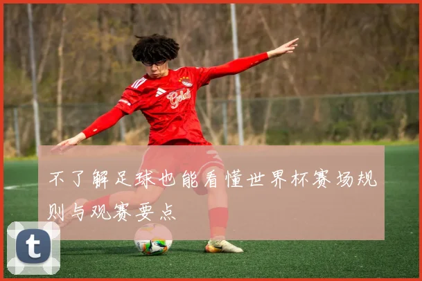 不了解足球也能看懂世界杯赛场规则与观赛要点