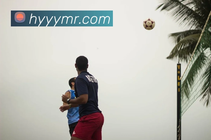 世界杯官网登录app全站App